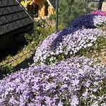 Hakerowka * Schreiberhau
