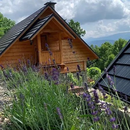 Apartamento Hakerówka